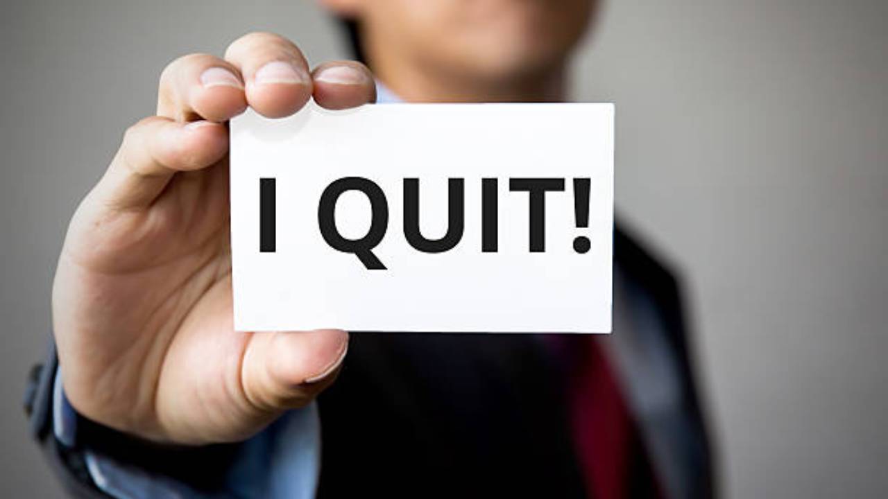i quit, financebuddy, taxes, macedonia